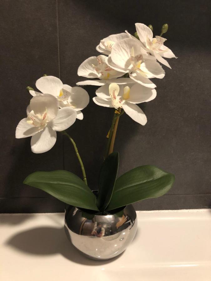Apartament Chopina Łomianki 外观 照片